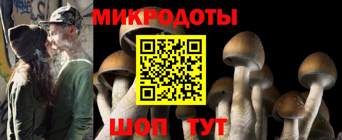 Галлюциногенные грибы GOLDEN TEACHER Кашира